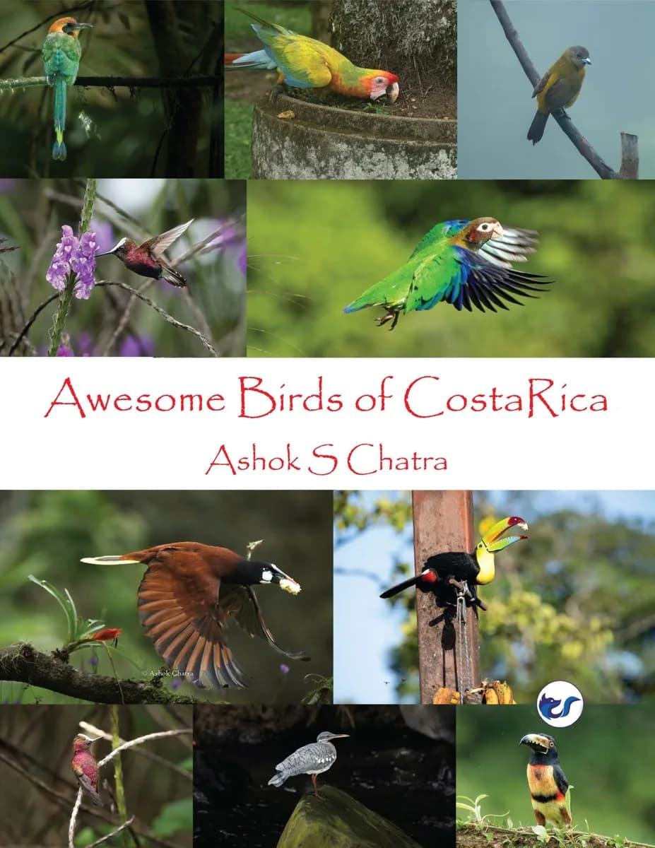 Awesome Birds of Costa Rica: A Beautiful Collection