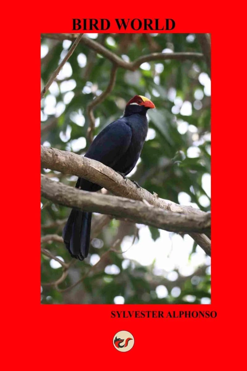 Bird World