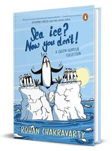Sea Ice? Now You Dont !