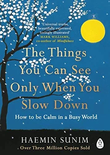 The Things You Can See Only When You Slow Down (Lead Title)