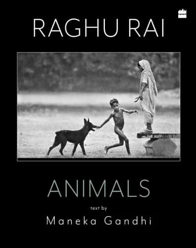 Animals